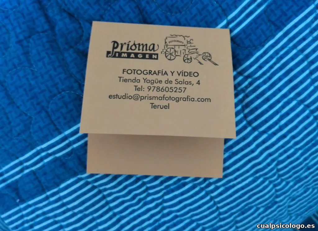 Prisma Imagen Fotografía