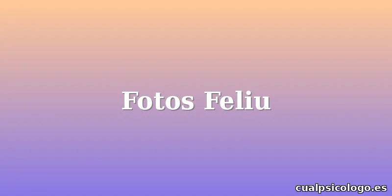 Fotos Feliu