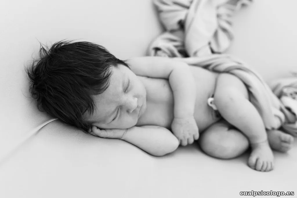 Estudio fotográfico El Rincón de la Foto