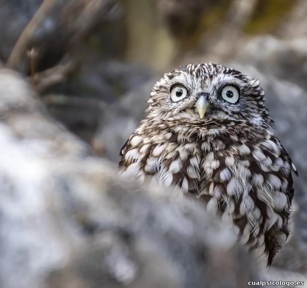 Fran Gago Fotografía