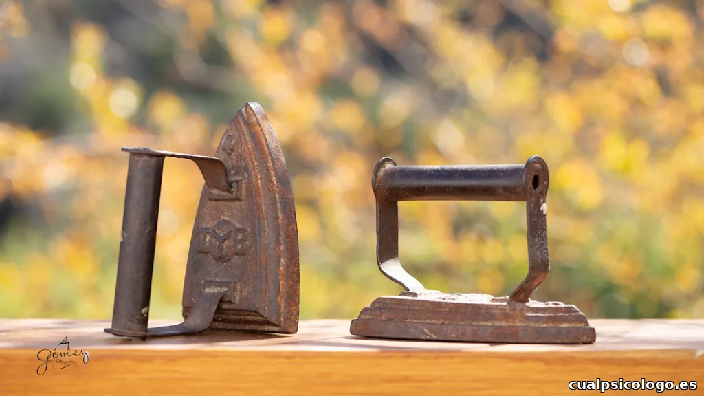 Foto Gómez. (Gómez Fotografía )