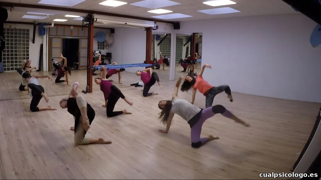 Espacio Arte /Danza. DANCERSDESYSU/ SINFFIN PROD.ART. SL