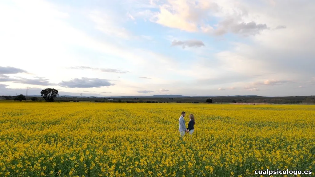 Video de Boda y Eventos - Inmediafilms