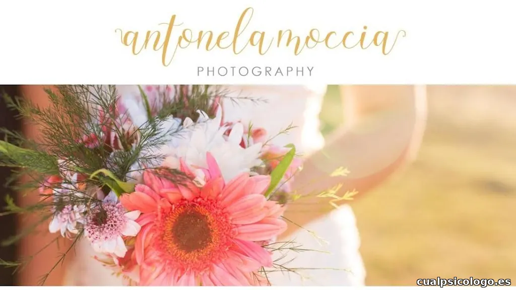 Antonela Moccia Fotografía