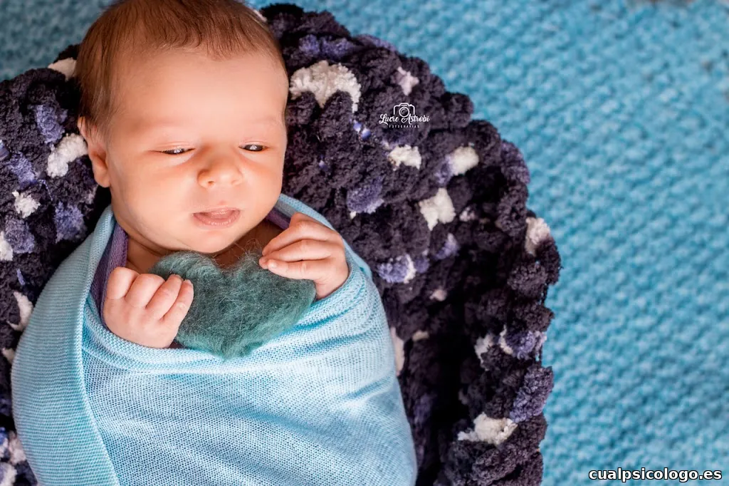 NO FOTO CARNET Lucre Astrobi Fotografia y Fika Studios