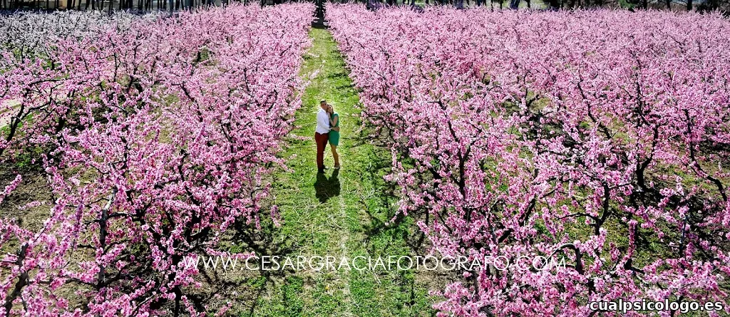 Cesar Gracia Fotógrafo