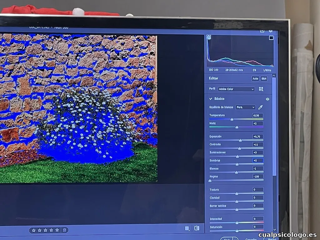 Gómez Grau Estudi Fotografic