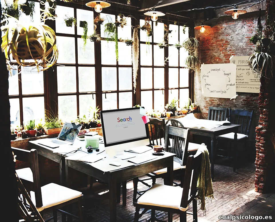 Tu Agencia de Marketing Digital