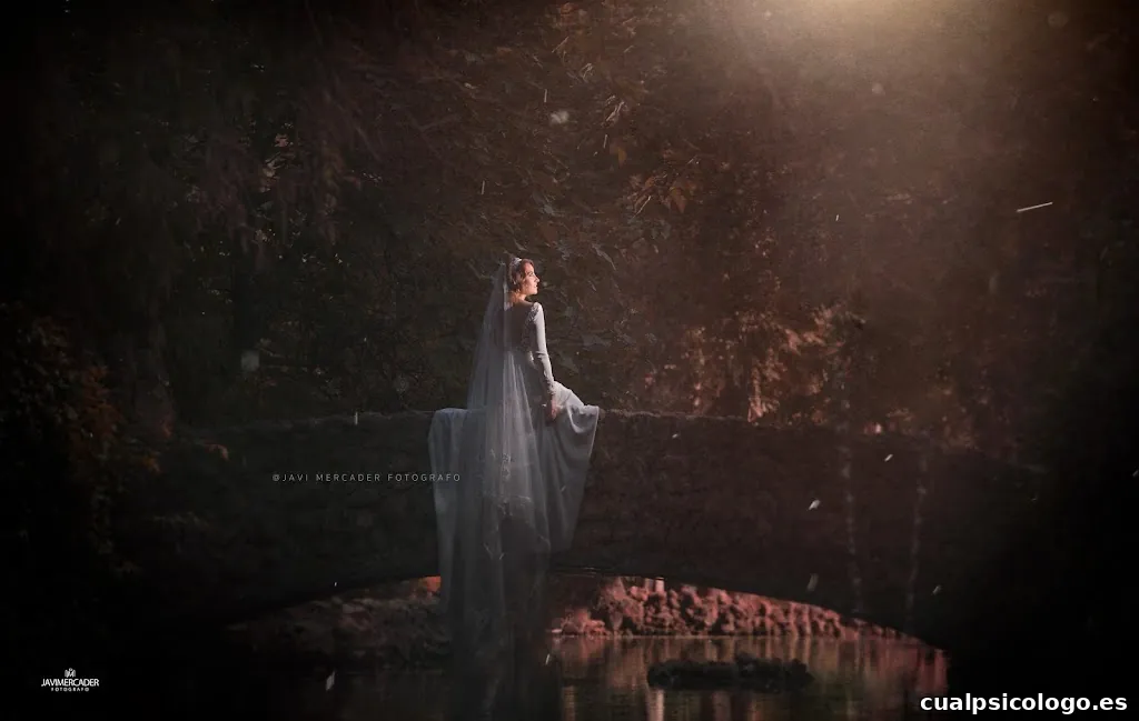 Javimercader Fotografo