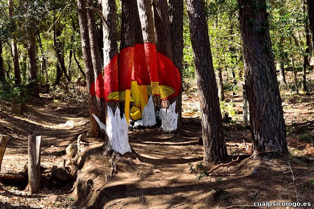 JORDI MILLÀS Freelance Photo