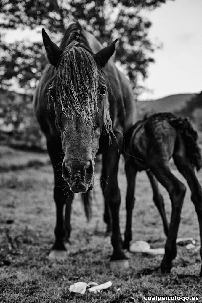 Sandra Sañudo Gutiérrez