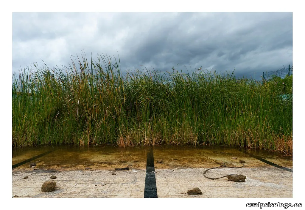 JOAN FORTEZA PHOTOGRAPHER